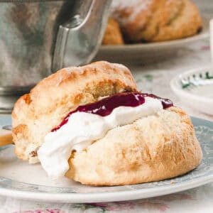 DessertFirst Sweet White Scones – Pack of 12