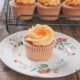 DessertFirst Vanilla Cupcakes
